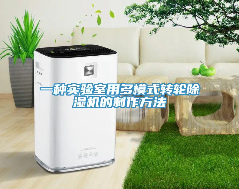 一種實驗室用多模式轉輪除濕機的制作方法