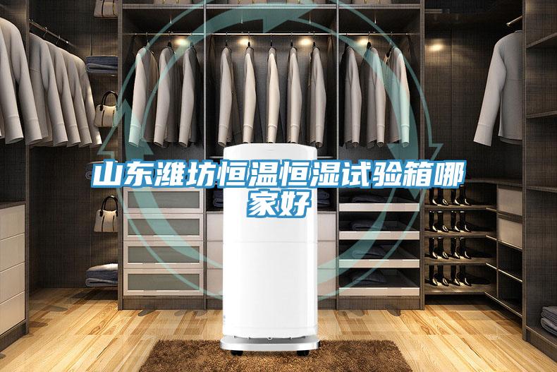 山東濰坊恒溫恒濕試驗箱哪家好