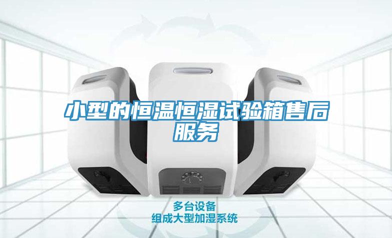 小型的恒溫恒濕試驗箱售后服務