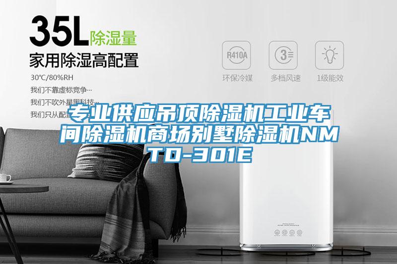 專業供應吊頂除濕機工業車間除濕機商場別墅除濕機NMTD-301E