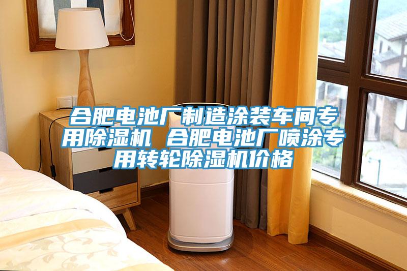 合肥電池廠制造涂裝車間專用除濕機 合肥電池廠噴涂專用轉輪除濕機價格