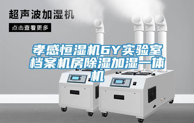 孝感恒濕機6Y實驗室檔案機房除濕加濕一體機