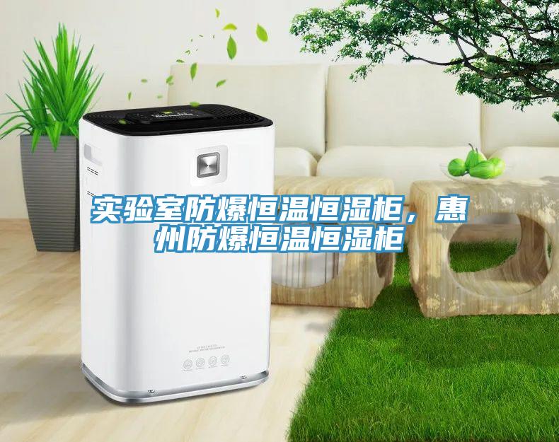 實驗室防爆恒溫恒濕柜，惠州防爆恒溫恒濕柜