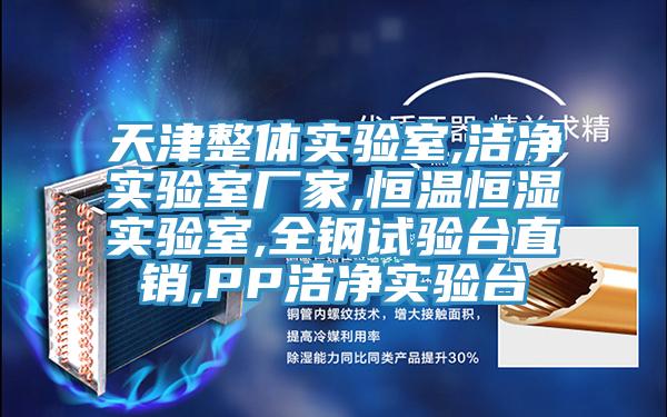 天津整體實驗室,潔凈實驗室廠家,恒溫恒濕實驗室,全鋼試驗臺直銷,PP潔凈實驗臺