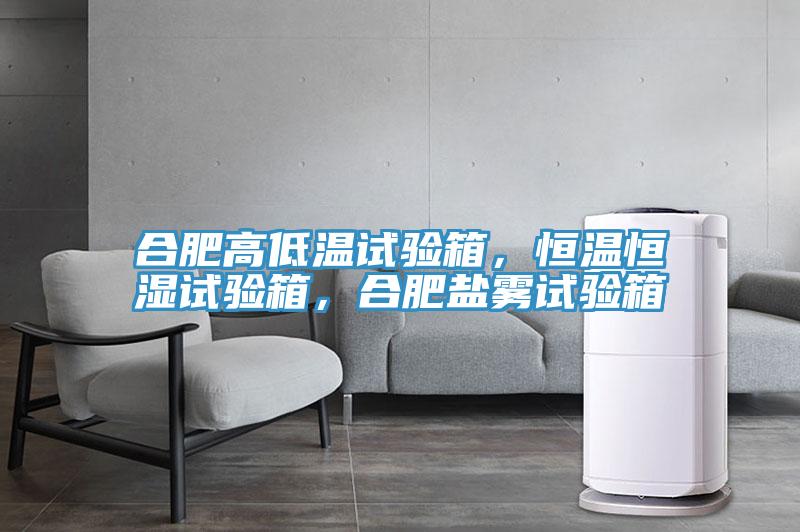 合肥高低溫試驗箱，恒溫恒濕試驗箱，合肥鹽霧試驗箱