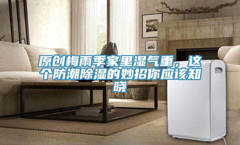 原創梅雨季家里濕氣重，這個防潮除濕的妙招你應該知曉