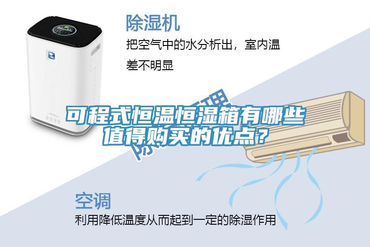 可程式恒溫恒濕箱有哪些值得購買的優點？