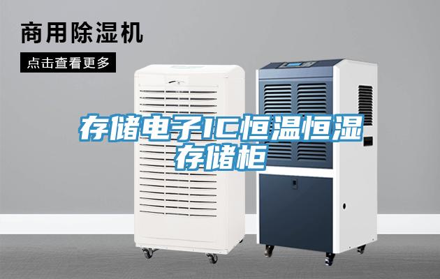 存儲電子IC恒溫恒濕存儲柜