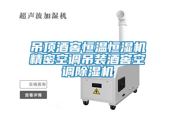 吊頂酒窖恒溫恒濕機精密空調吊裝酒窖空調除濕機