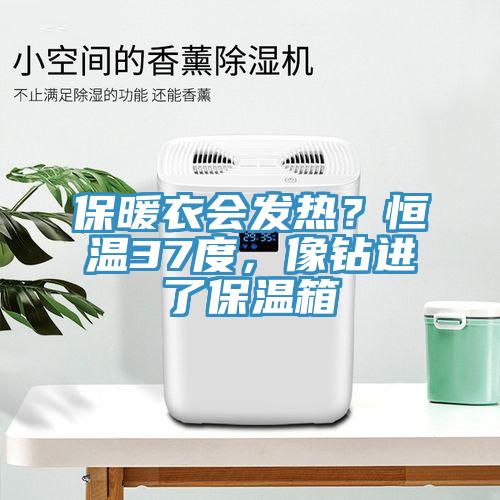保暖衣會發熱？恒溫37度，像鉆進了保溫箱