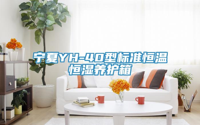 寧夏YH-40型標準恒溫恒濕養護箱