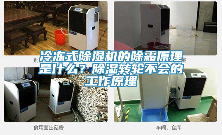 冷凍式除濕機的除霜原理是什么？除濕轉輪不會的工作原理