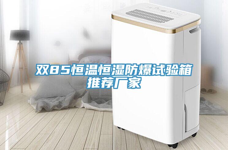 雙85恒溫恒濕防爆試驗箱推薦廠家