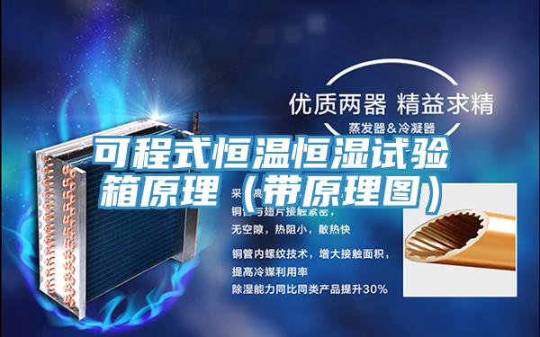 可程式恒溫恒濕試驗箱原理（帶原理圖）