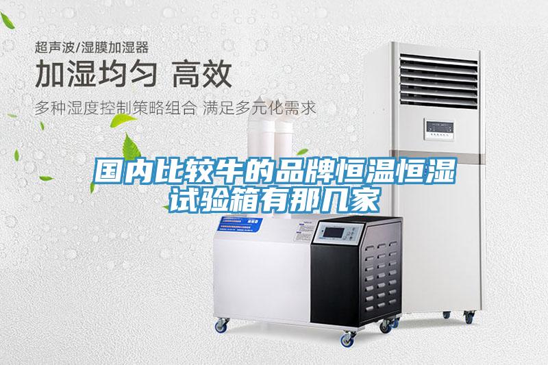 國內比較牛的品牌恒溫恒濕試驗箱有那幾家