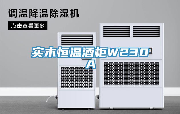 實木恒溫酒柜W230A