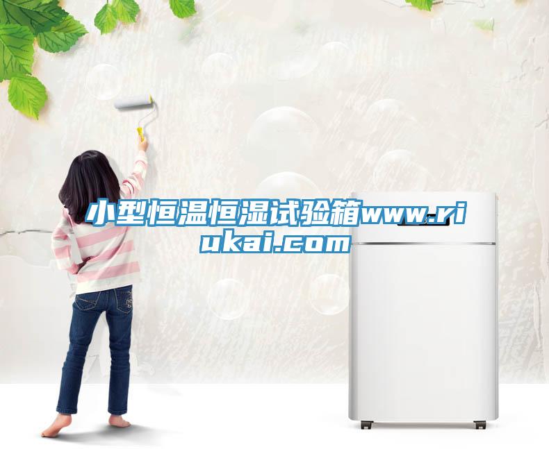 小型恒溫恒濕試驗箱www.riukai.com