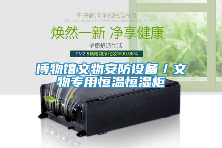 博物館文物安防設備／文物專用恒溫恒濕柜