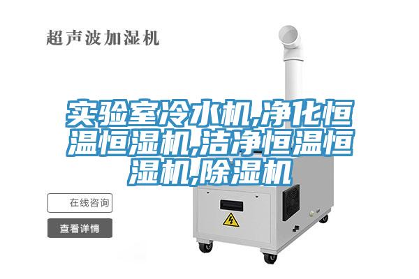 實驗室冷水機,凈化恒溫恒濕機,潔凈恒溫恒濕機,除濕機