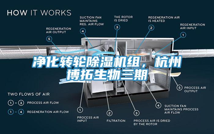 凈化轉輪除濕機組，杭州博拓生物三期