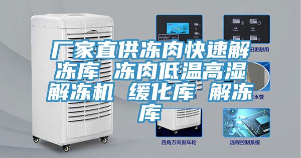 廠家直供凍肉快速解凍庫 凍肉低溫高濕解凍機 緩化庫 解凍庫