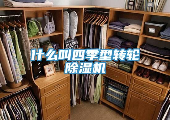 什么叫四季型轉輪除濕機