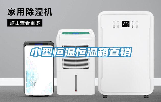小型恒溫恒濕箱直銷