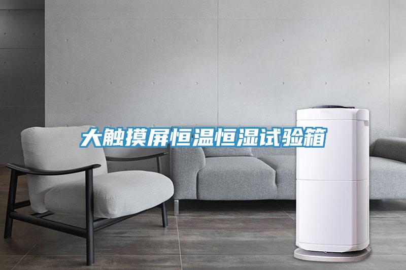 大觸摸屏恒溫恒濕試驗箱