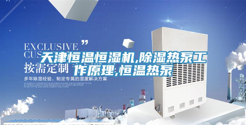 天津恒溫恒濕機,除濕熱泵工作原理,恒溫熱泵