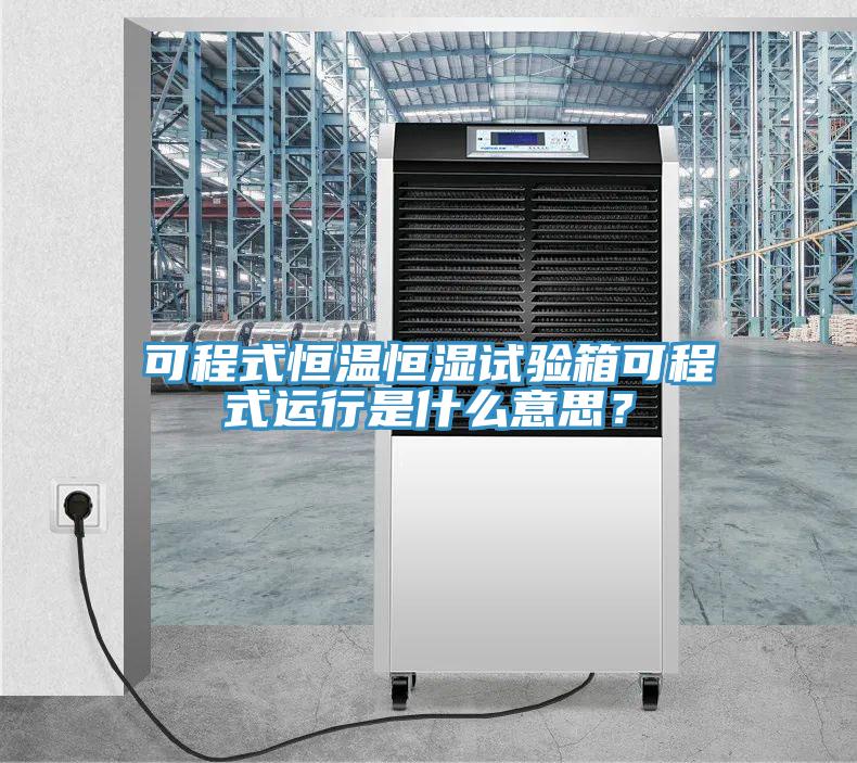 可程式恒溫恒濕試驗箱可程式運行是什么意思？