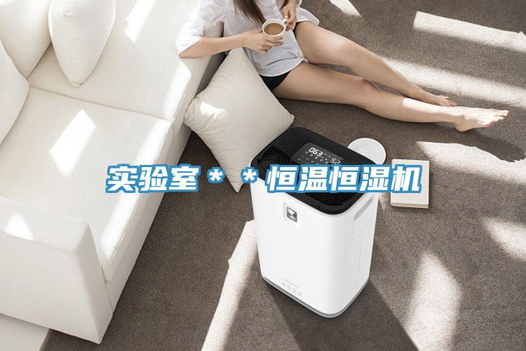 實驗室＊＊恒溫恒濕機