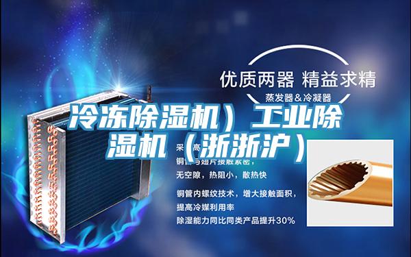 冷凍除濕機）工業除濕機（浙浙滬）