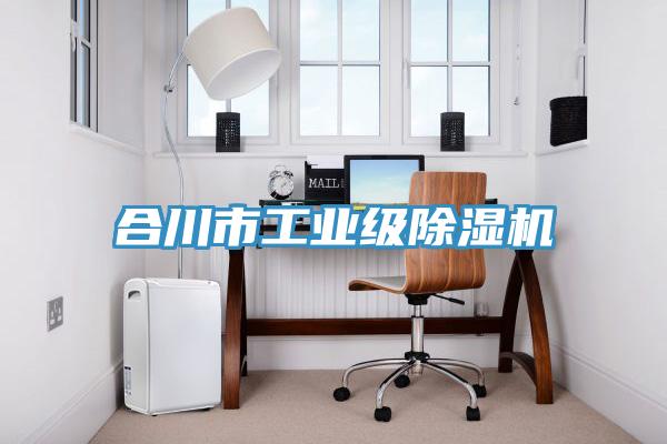 合川市工業級除濕機