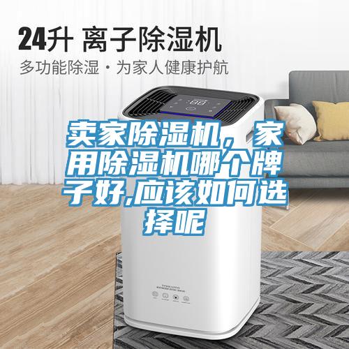賣家除濕機，家用除濕機哪個牌子好,應該如何選擇呢