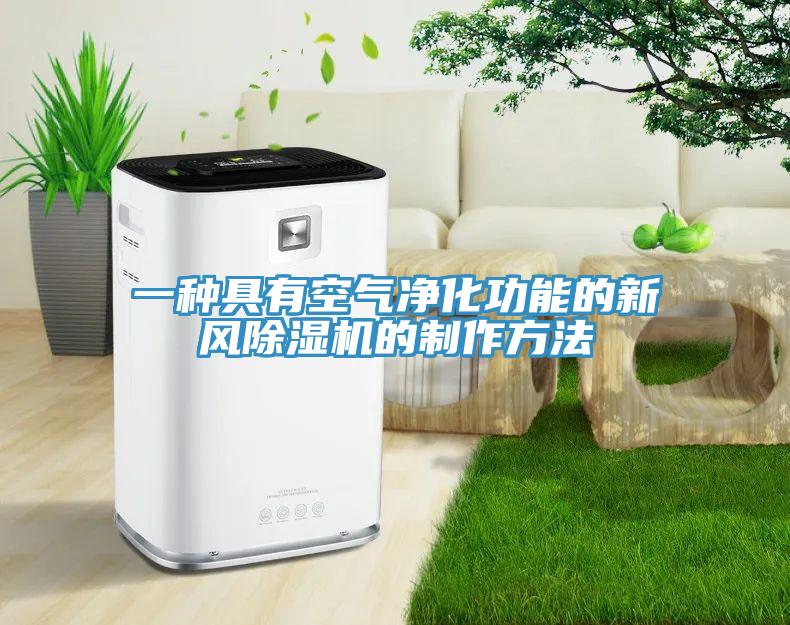一種具有空氣凈化功能的新風除濕機的制作方法