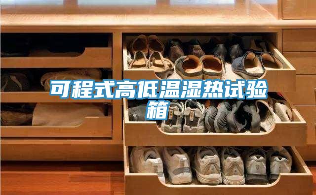 可程式高低溫濕熱試驗箱