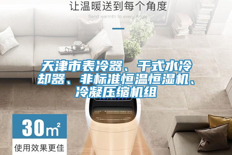 天津市表冷器、干式水冷卻器、非標準恒溫恒濕機、冷凝壓縮機組