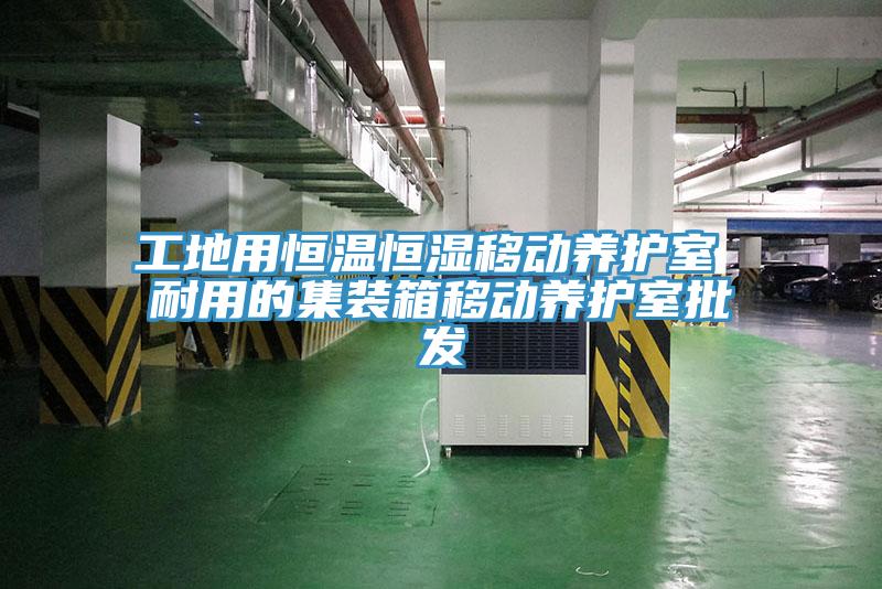 工地用恒溫恒濕移動養護室 耐用的集裝箱移動養護室批發