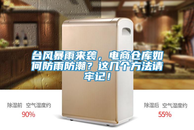 臺風暴雨來襲，電商倉庫如何防雨防潮？這幾個方法請牢記！