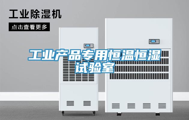 工業產品專用恒溫恒濕試驗室