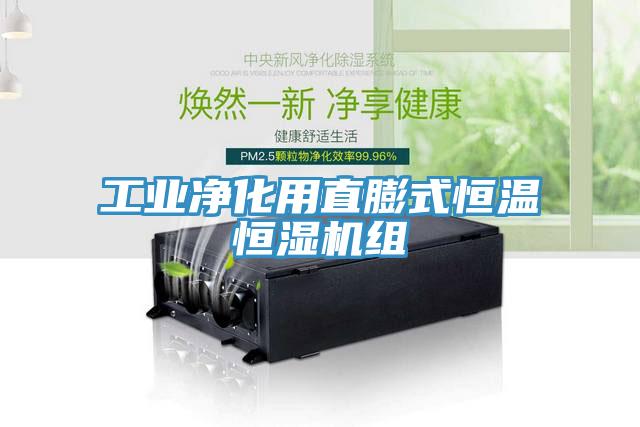 工業凈化用直膨式恒溫恒濕機組