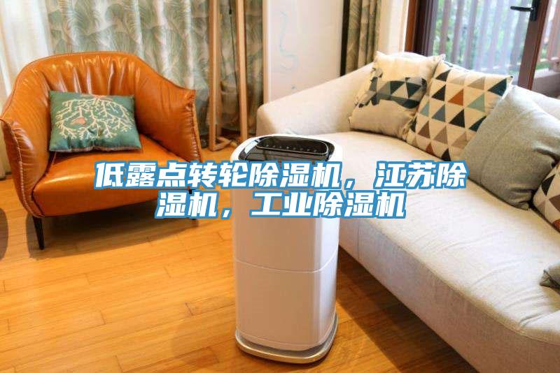 低露點轉輪除濕機，江蘇除濕機，工業除濕機