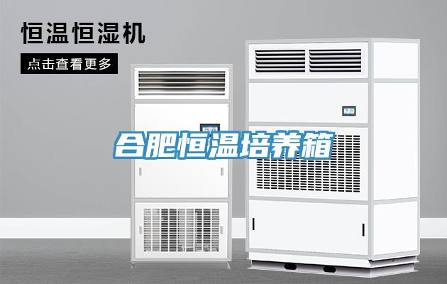 合肥恒溫培養箱