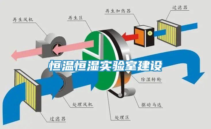 恒溫恒濕實驗室建設