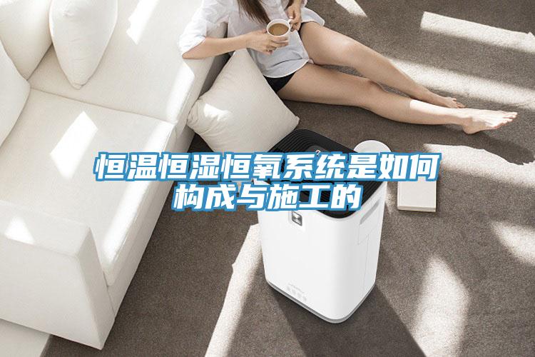 恒溫恒濕恒氧系統是如何構成與施工的