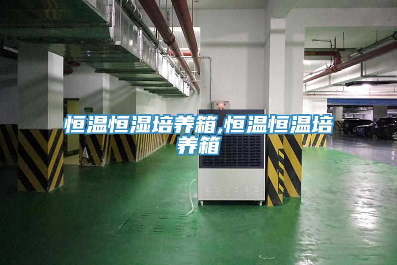 恒溫恒濕培養箱,恒溫恒溫培養箱