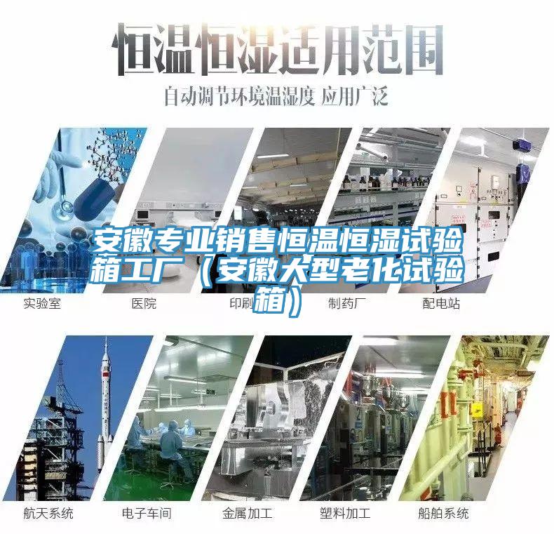 安徽專業銷售恒溫恒濕試驗箱工廠（安徽大型老化試驗箱）