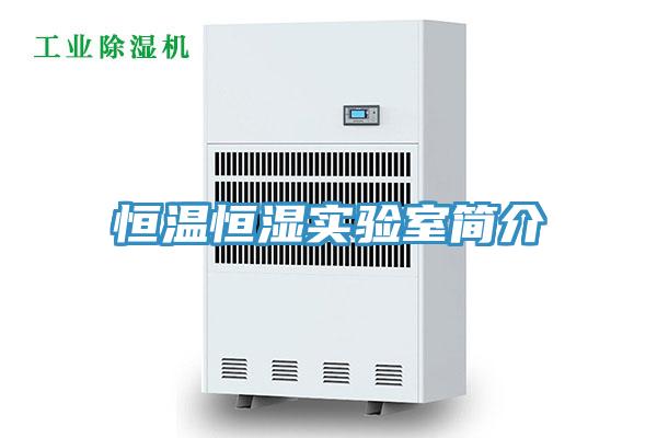 恒溫恒濕實驗室簡介