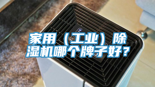 家用（工業）除濕機哪個牌子好？