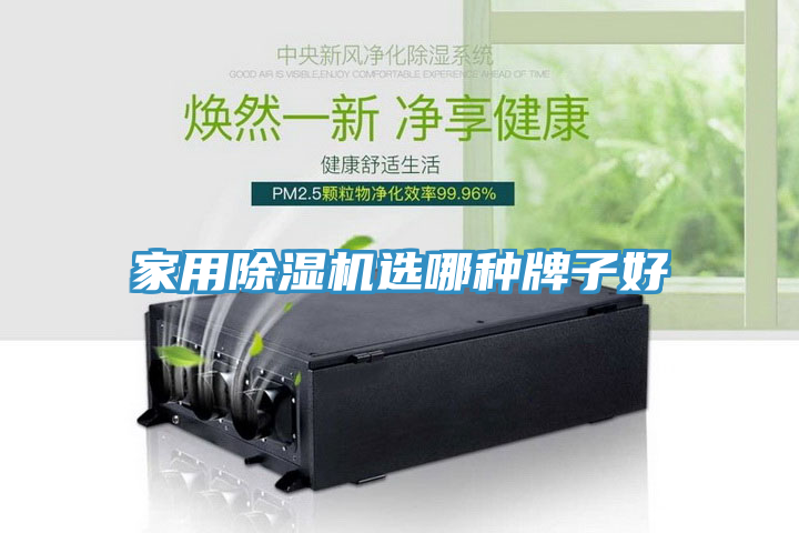 家用除濕機選哪種牌子好
